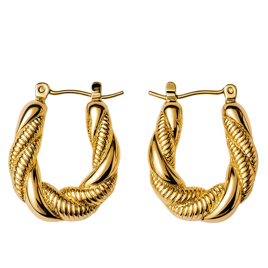 Twisted Hoop Earrings